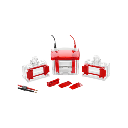 Mini Vertical Electrophoresis Cell : Mini Vertical Electrophoresis cell TRMV-601